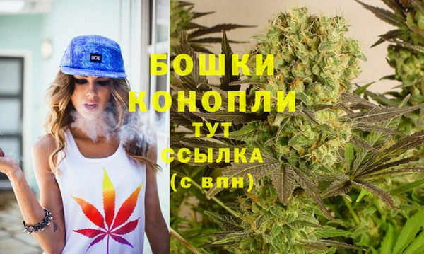 стаф Белоозёрский