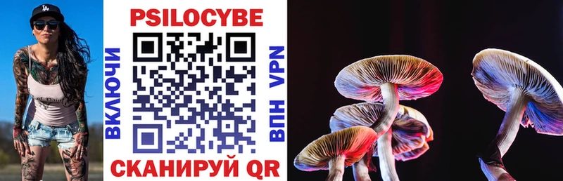 закладка  Мглин  Галлюциногенные грибы Psilocybe 